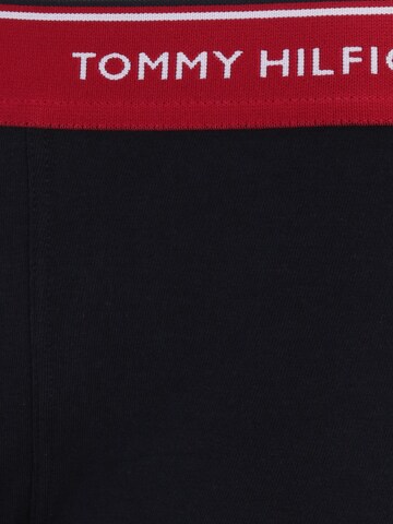 Tommy Hilfiger Underwear Regular Boxer shorts in Blue