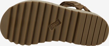 TEVA Hiking Sandals 'Universal Ceres' in Brown