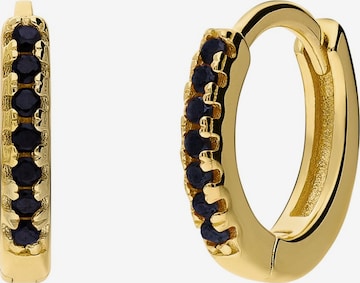 Boucles d'oreilles Lucardi en or : devant