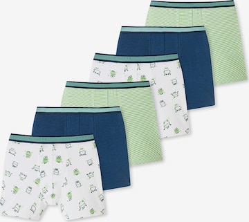 SCHIESSER Underpants ' 95/5 Organic Cotton ' in Blue: front