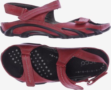 ECCO Sandalen 38 in Rot: predná strana