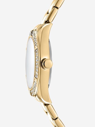 DKNY Analog watch in Gold