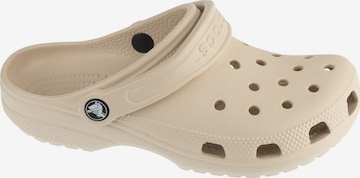 Crocs Clogs in Beige: Vorderseite