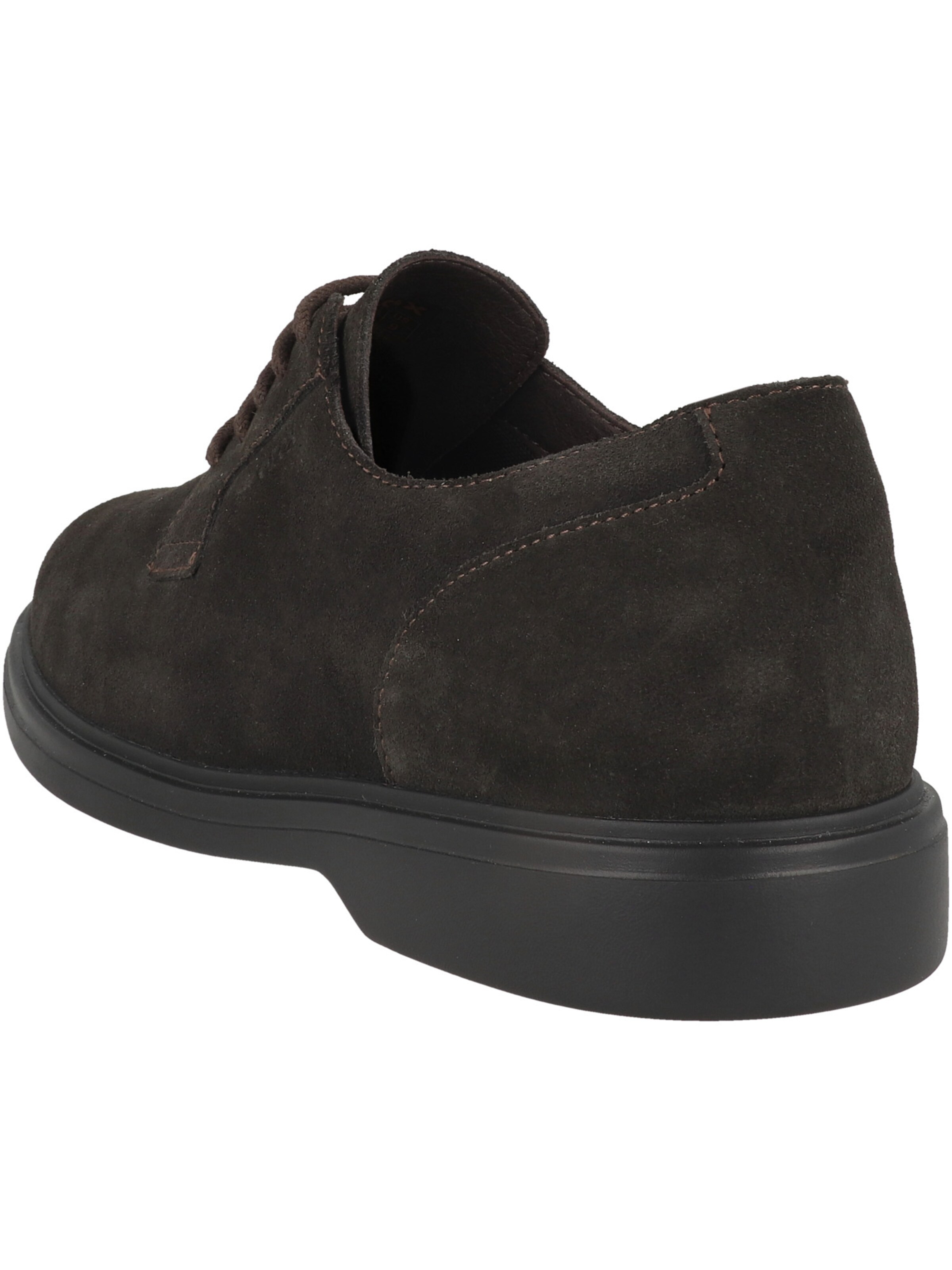 Chaussure à lacets 'U Ottavio D' GEOX en marron