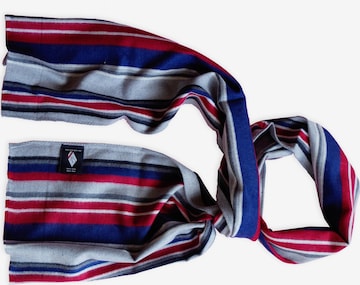 Posh Gear Scarf 'Lineeseta' in Blue: front