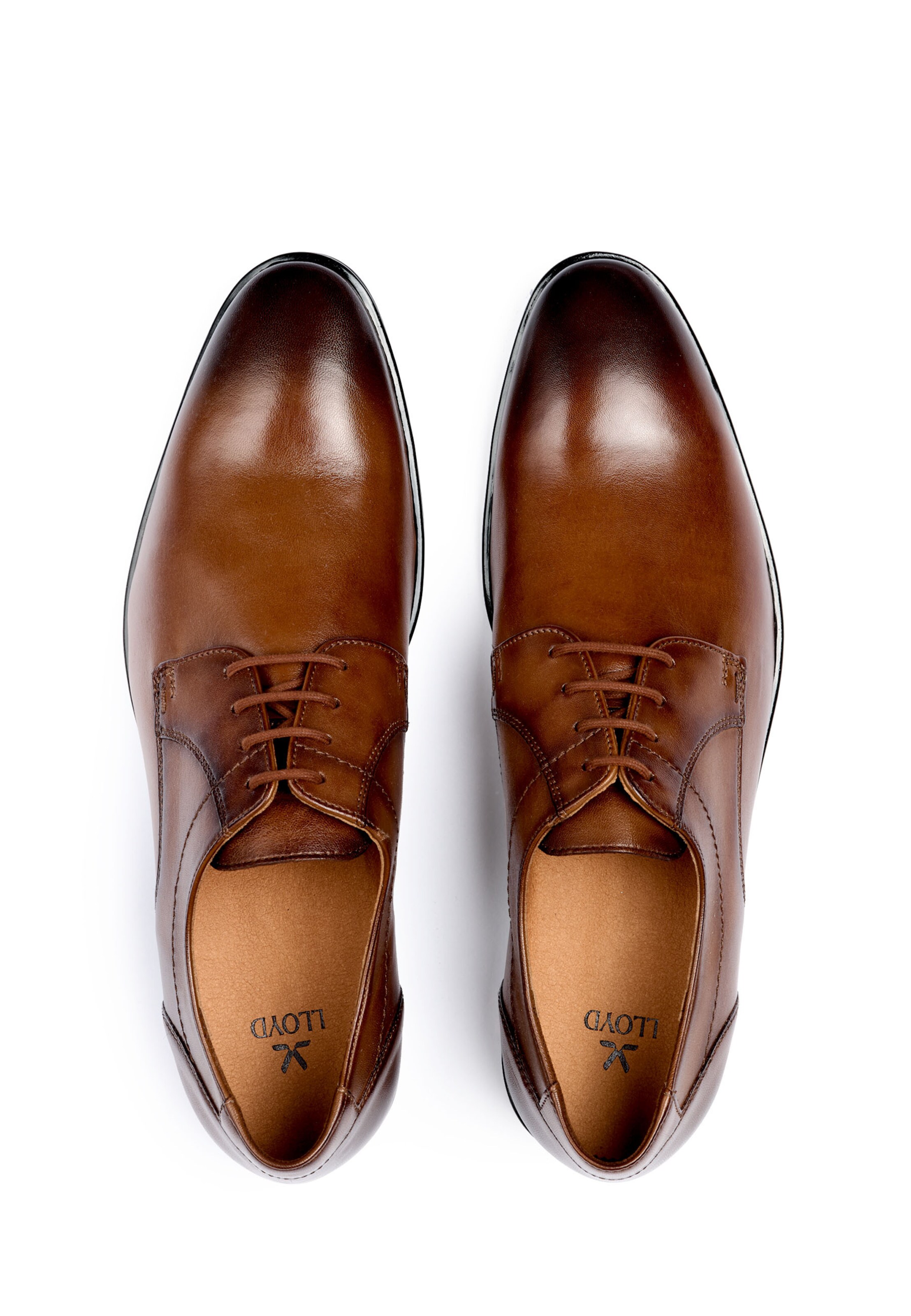 LLOYD Lace-Up Shoes in Brown