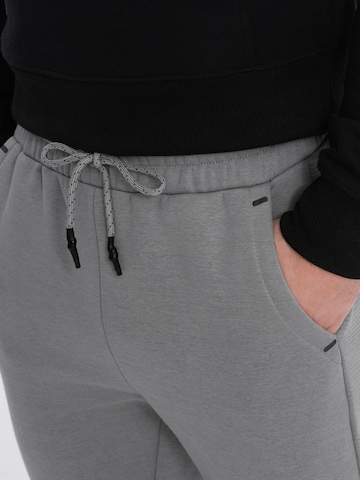 Ombre Regular Outdoorbroek in Grijs