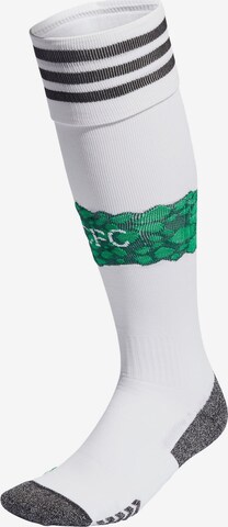 Chaussettes de sport 'Celtic FC 23/24' ADIDAS PERFORMANCE en blanc : devant