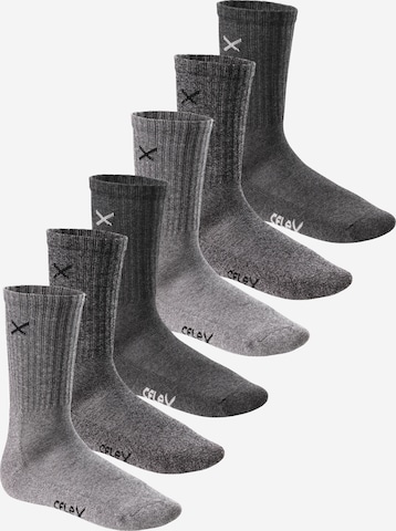 cflex Athletic Socks 'Lifestyle' in Grey: front