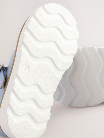 Next Ballerina's in Blauw