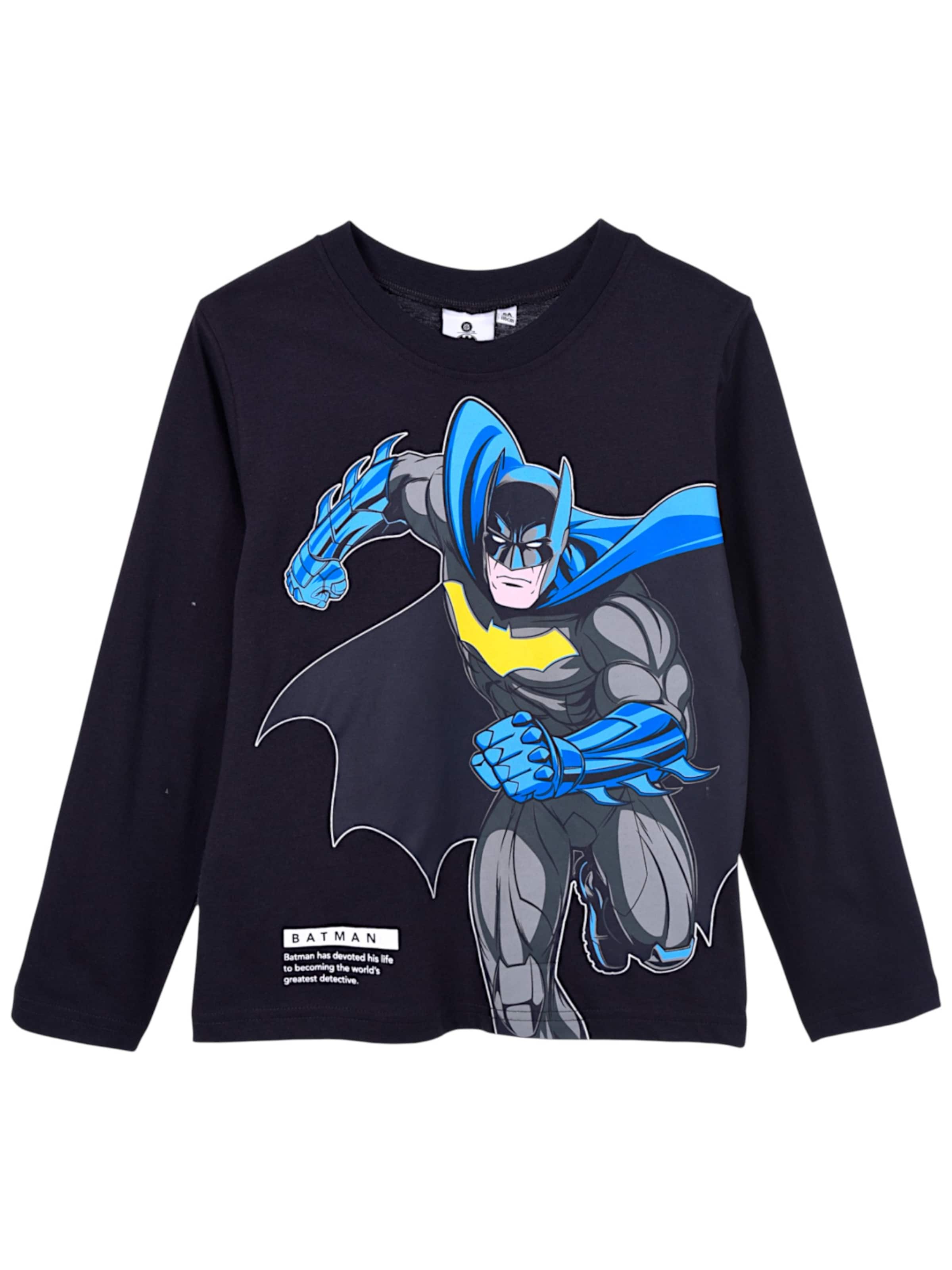 Batman Shirt 'Batman Langarmshirt' in Grey: front