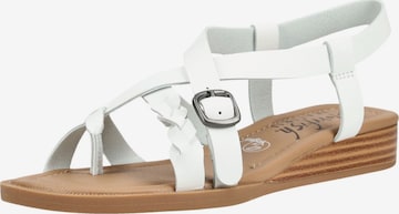 Tongs Blowfish Malibu en blanc : devant