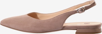 Högl Ballet Flats with Strap 'MONA' in Grey: front