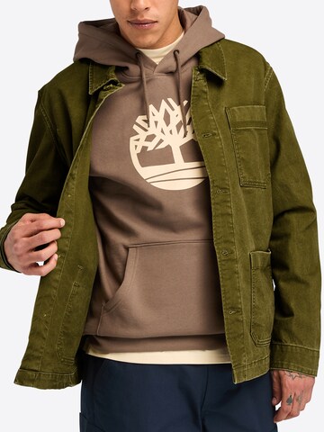 Veste mi-saison TIMBERLAND en vert