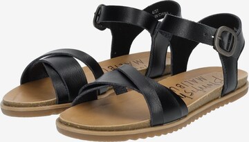 Blowfish Malibu Sandalen met riem in Zwart