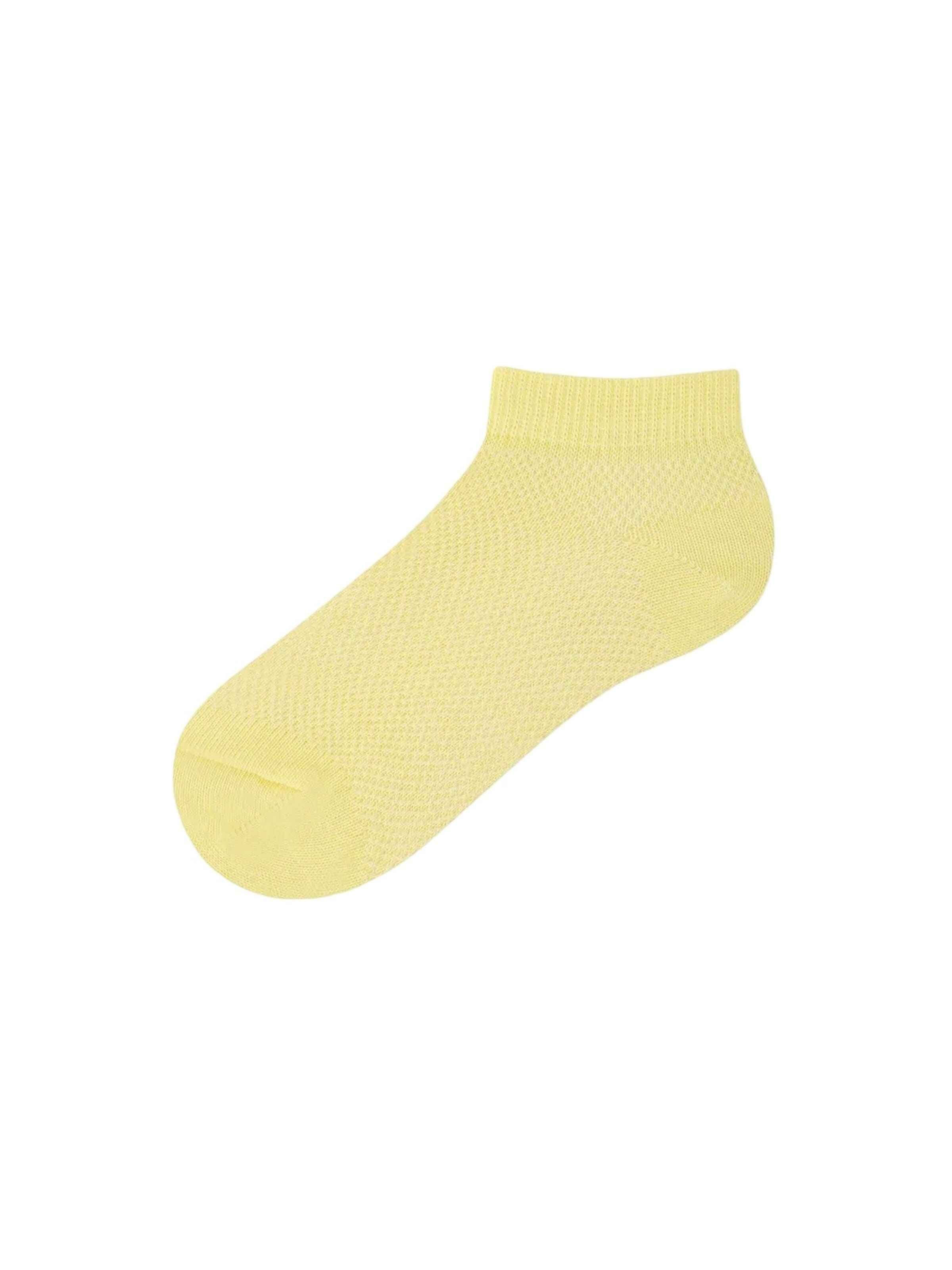 Penti Socken 'PENTI Basic 4er-Pack No-Show-Socken'‌‌ in Mischfarben