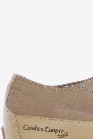 Candice Cooper Flats & Loafers in 36 in Beige