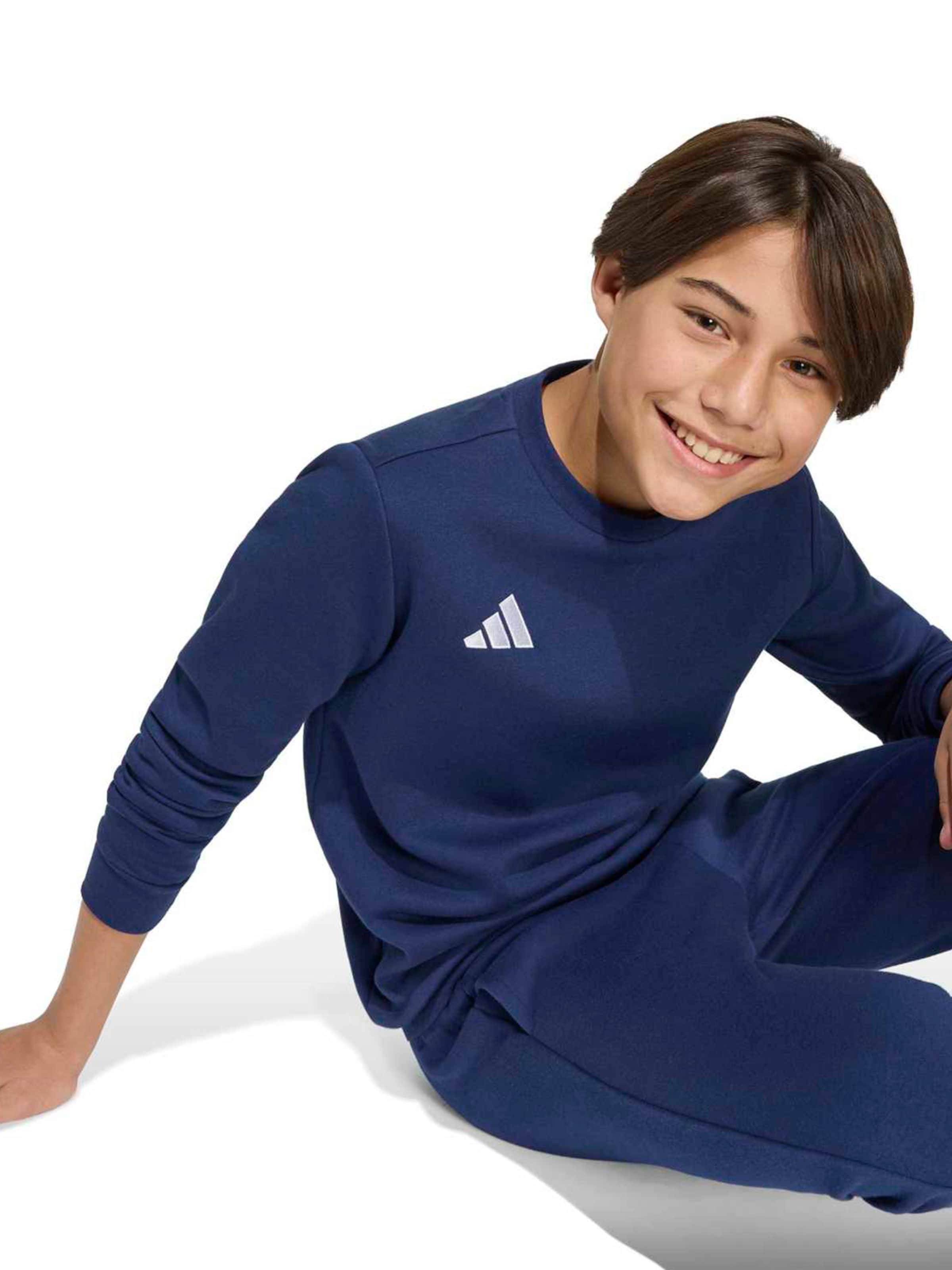 ADIDAS PERFORMANCE Sport sweatshirt 'ENT26' i blå