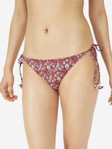 Penti Bikini nadrágok - vegyes színek
