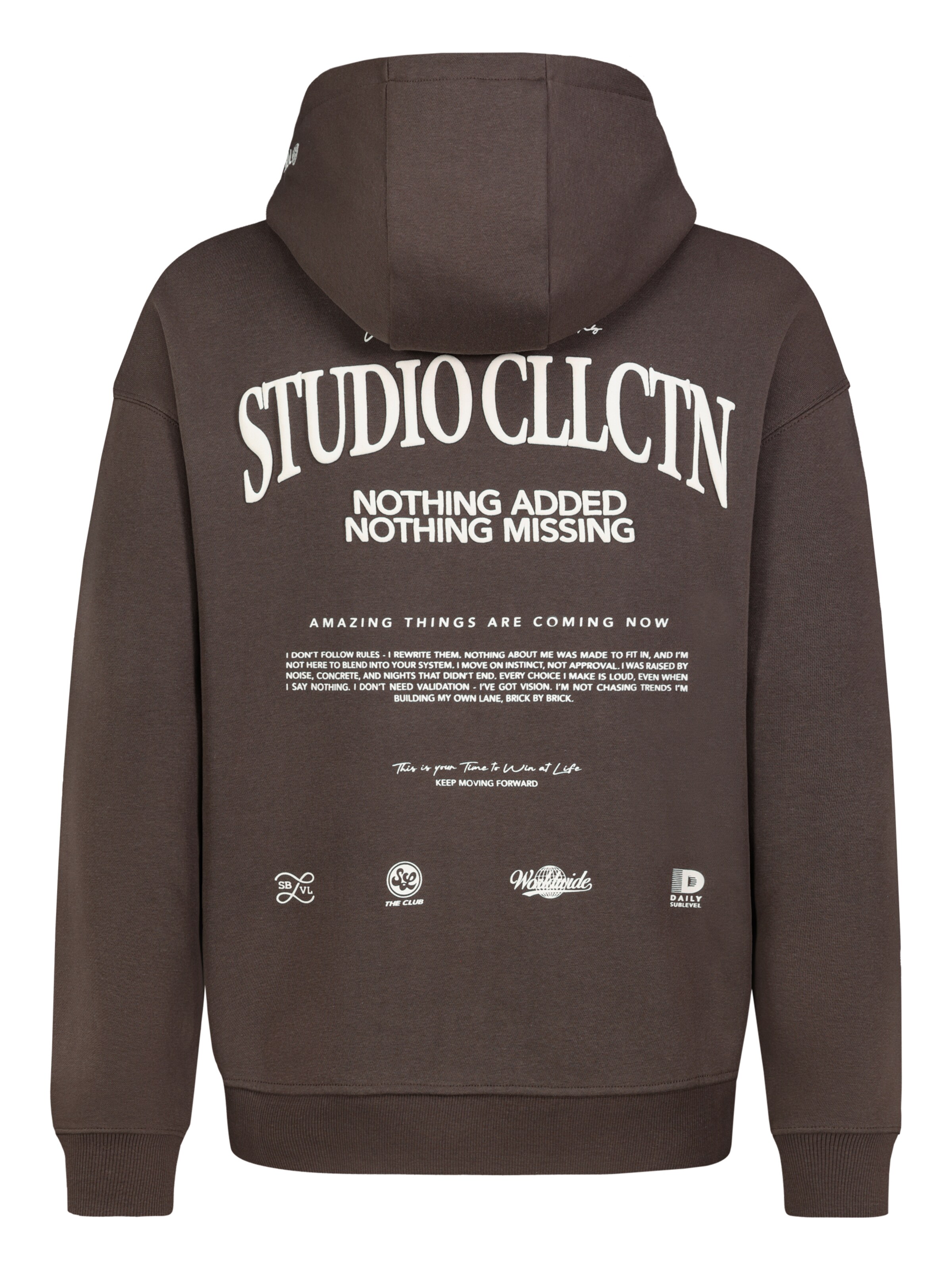 Sublevel Sweatshirt in Braun