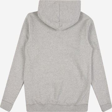 ESPRIT Regular Fit Sweatshirt in Grau