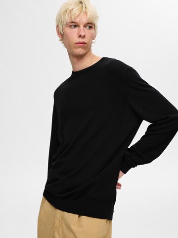 SELECTED HOMME Trui 'SLHTRAY' in Zwart