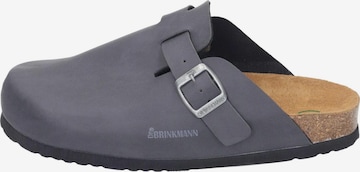 DR. BRINKMANN Clogs 'Nerpio' in Grey: front