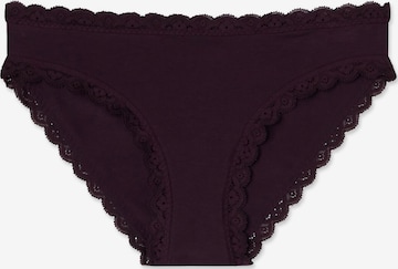 INTIMISSIMI Panty in Purple: front