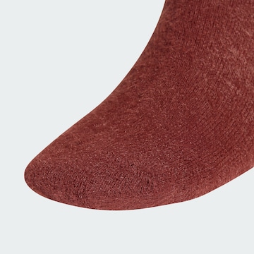 ADIDAS ORIGINALS Socks in Brown
