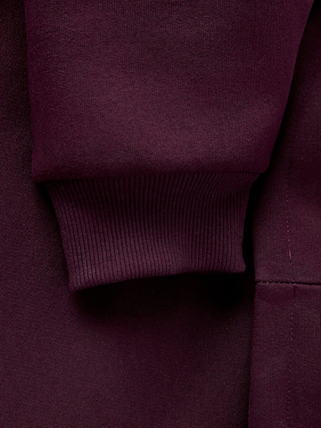 LMTD Sweatshirt in Red