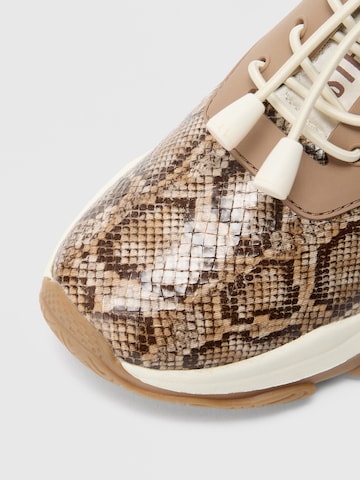 STEVE MADDEN Rövid szárú sportcipők 'MATCH' - barna