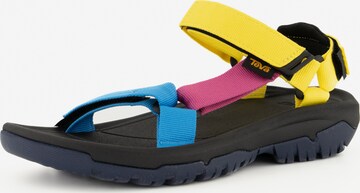 TEVA Hiking Sandals in Mixed colors: front