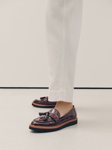 Next Mocassins in Bruin
