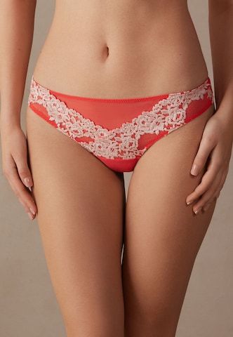 INTIMISSIMI Slip in Orange