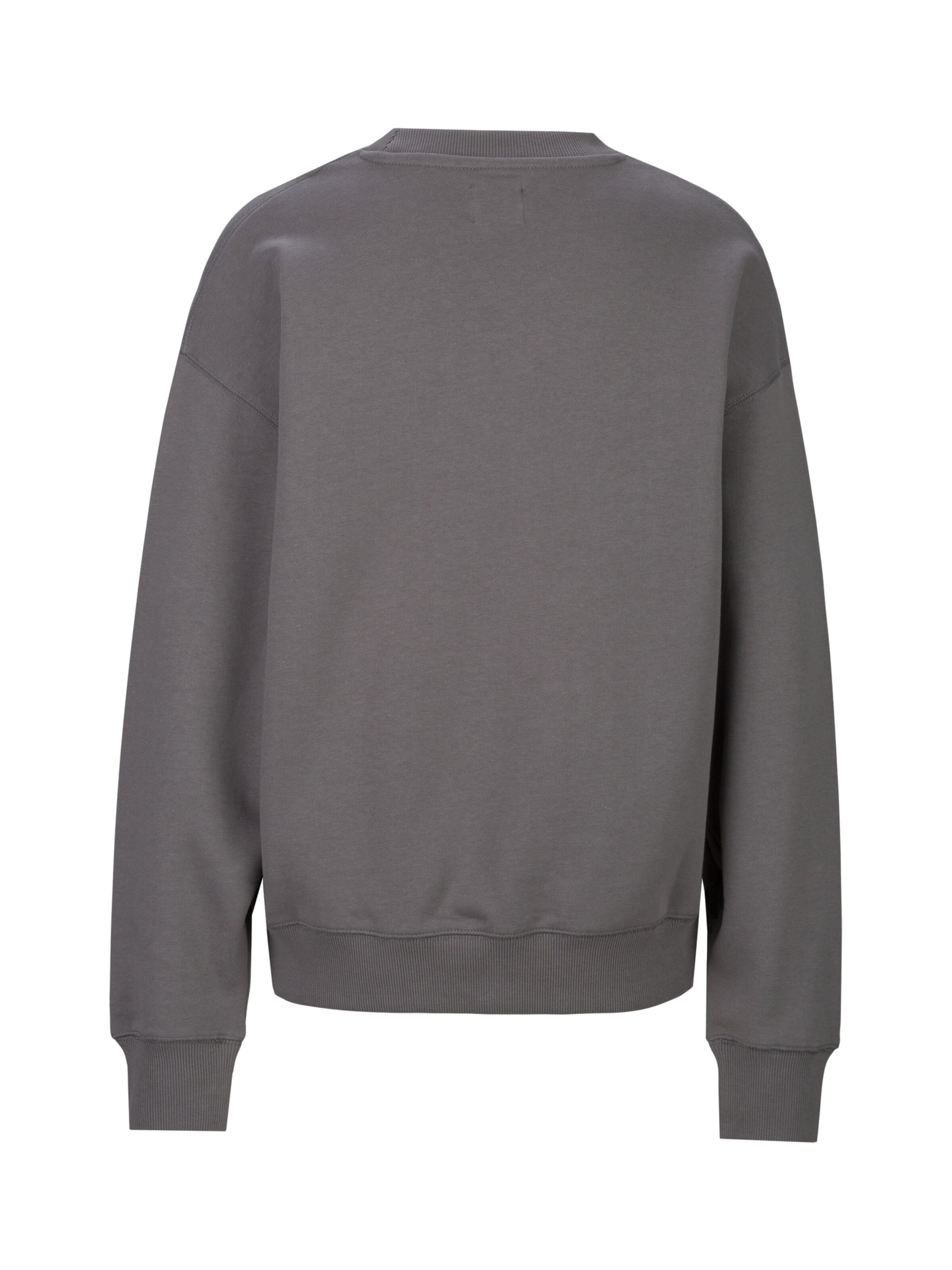 REPLAY Sweatshirt 'Big Not Ordinary' in Grau