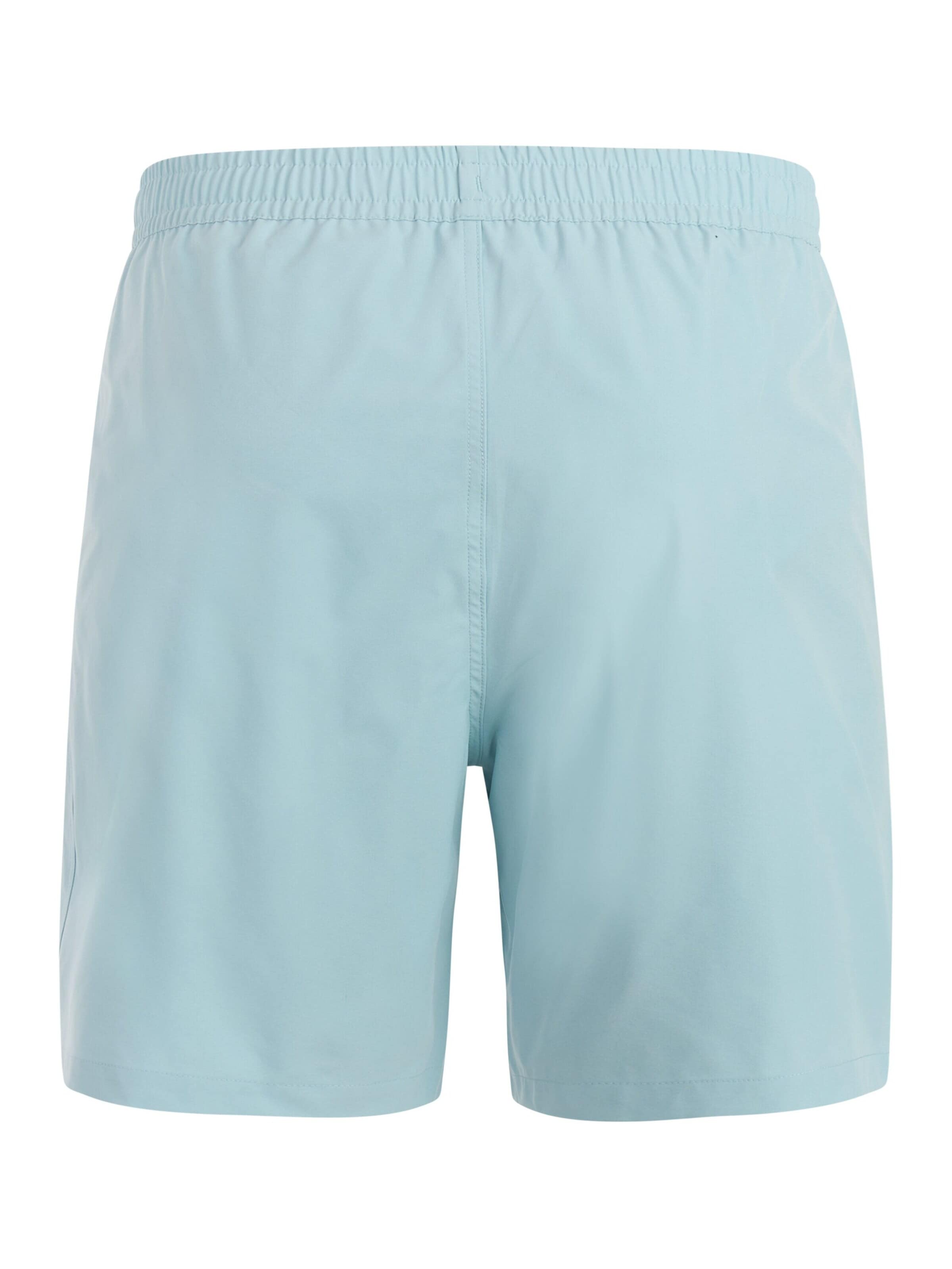 PROTEST Badeshorts 'Baky' i blå