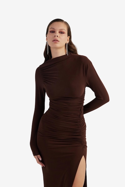 HOLLY LOLLY Robe en 40 en brun foncé, Vue avec produit