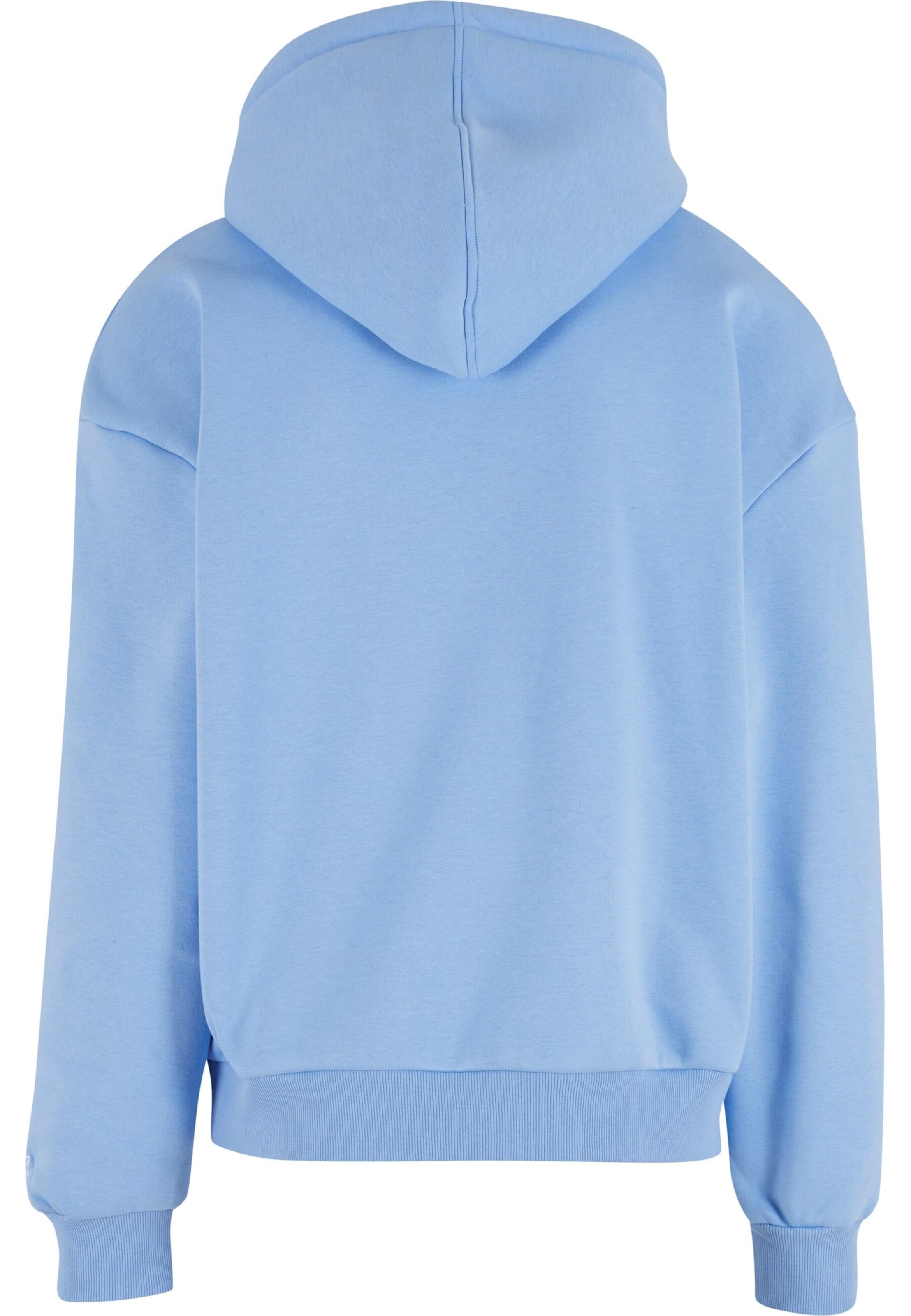 Starter Black Label Sweatshirt in Blauw