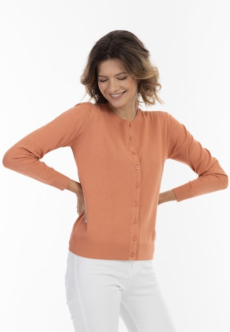 usha BLUE LABEL Gebreid vest in Oranje: voorkant