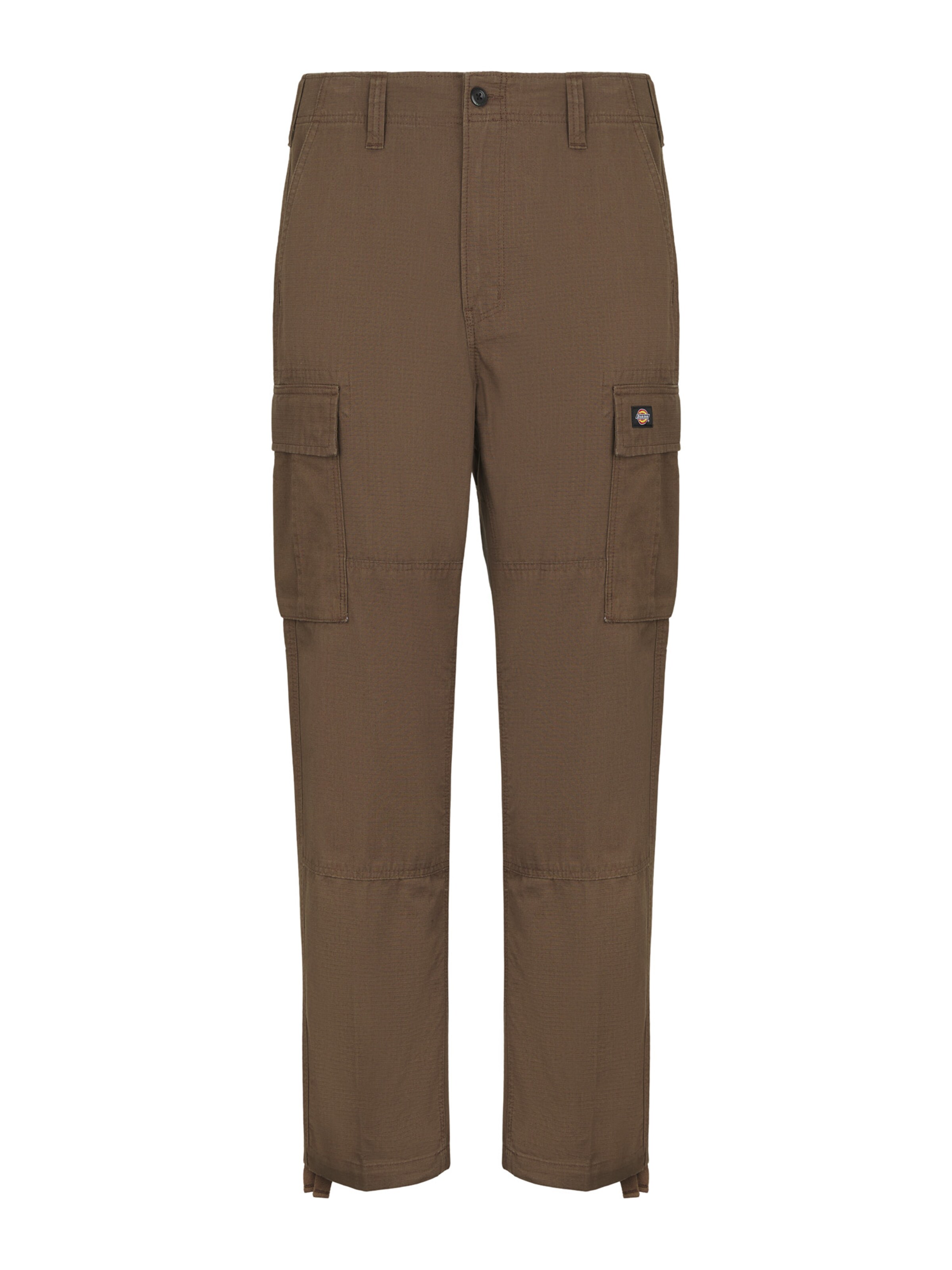 regular Pantaloni cargo 'EAGLE BEND' di DICKIES in marrone: frontale