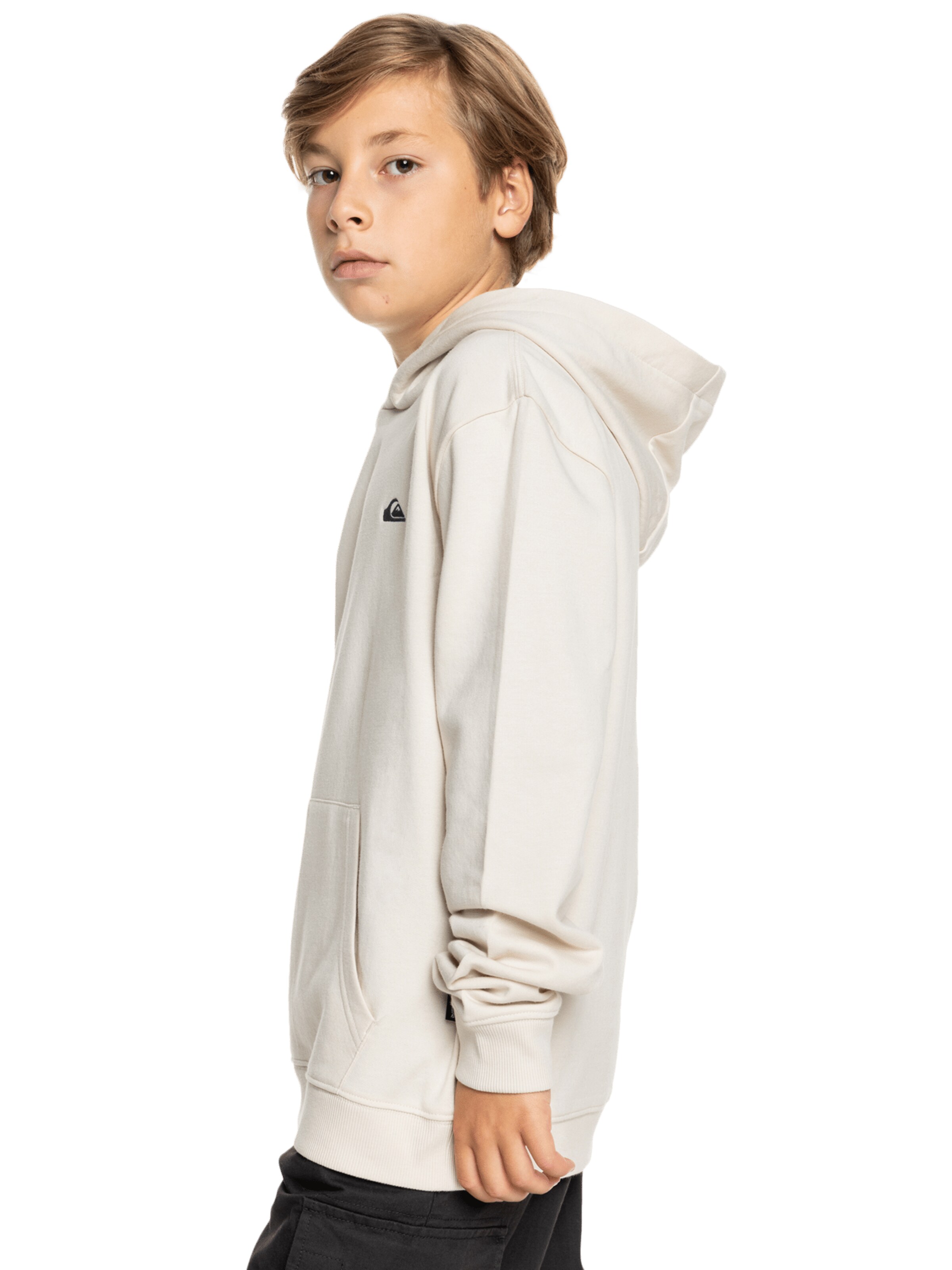 QUIKSILVER Sweatshirt in Beige