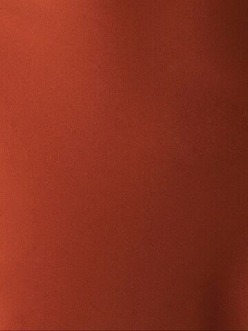 Willa Φόρεμα 'Diara' σε καφέ