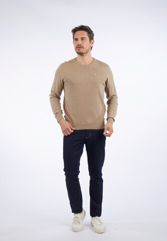 HECHTER PARIS Sweater in Brown