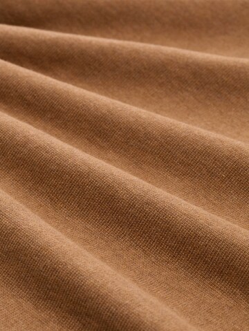 TOM TAILOR Sweater in Brown