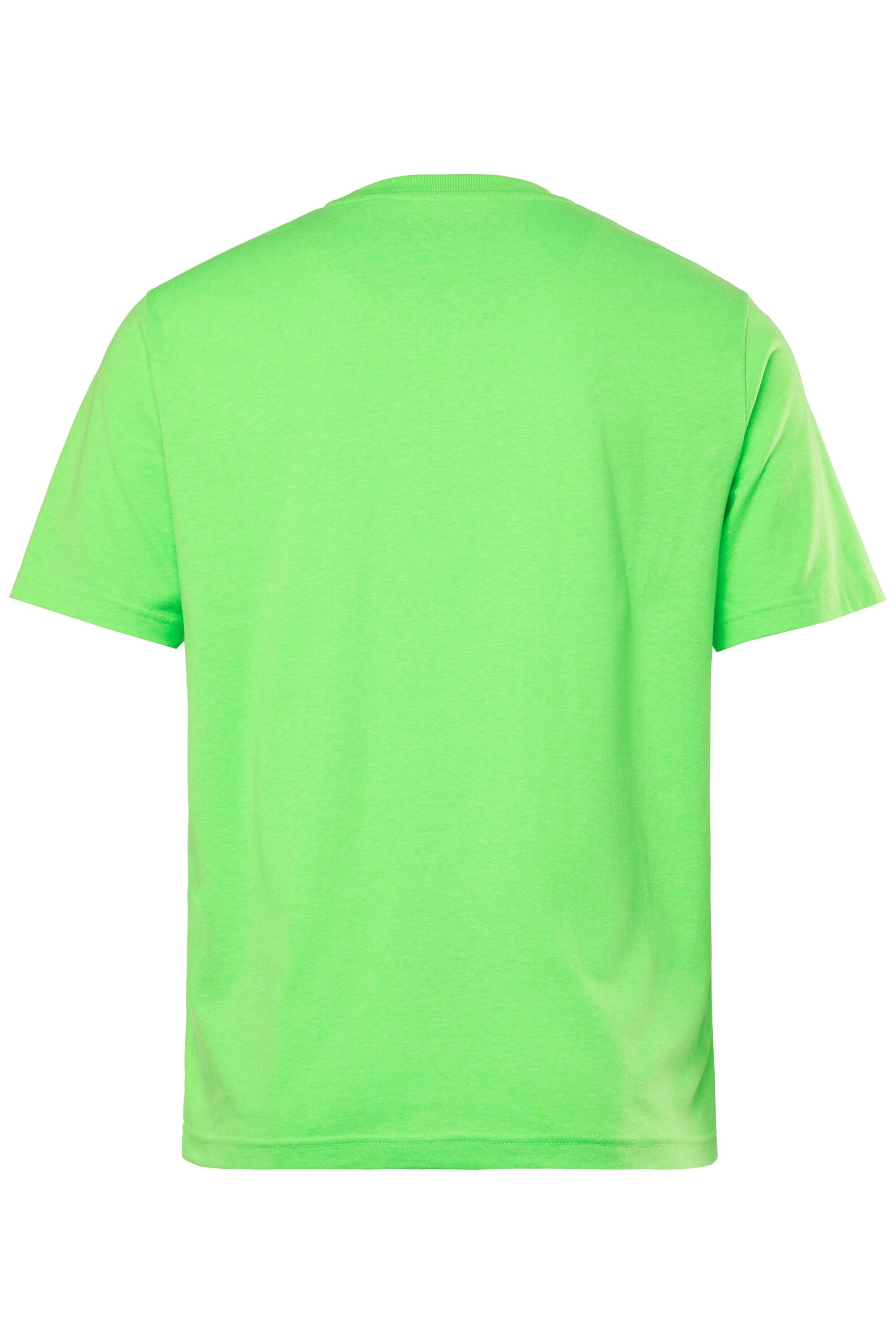 Men Plus Shirt in Green