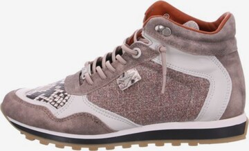 Cetti Sneaker in Mischfarben