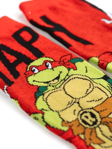 Teenage Mutant Ninja Turtles Socks in Mixed colours