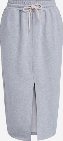 SET Skirt in Grey: front
