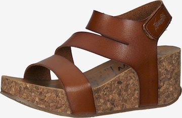 Blowfish Malibu Strap Sandals in Brown: front
