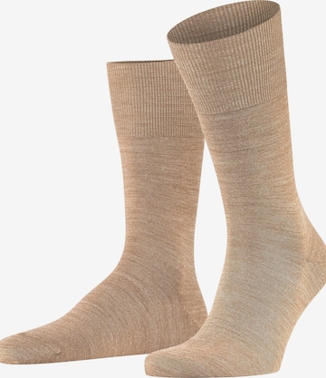 FALKE Socks 'Airport' in Brown: front